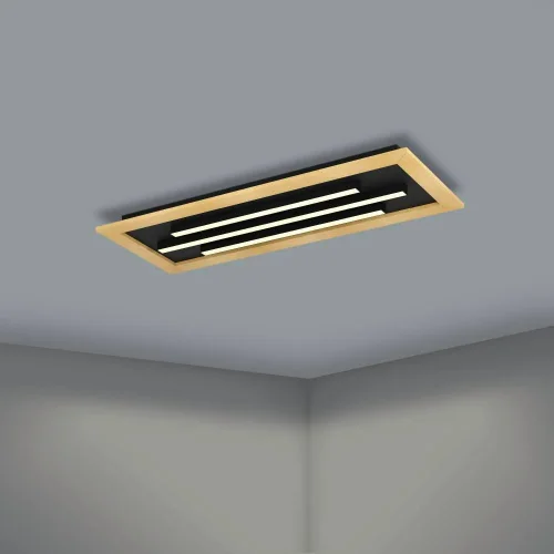Светильник потолочный LED Tirrenara 900604 Eglo чёрный коричневый 1 лампа, основание чёрное в стиле хай-тек современный  фото 4