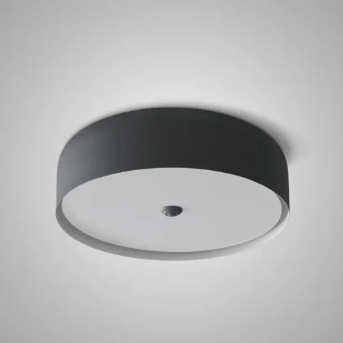 Светильник потолочный CYLINDER C Black 178355-26 ImperiumLoft чёрный на 1 лампу, основание чёрное в стиле скандинавский современный 