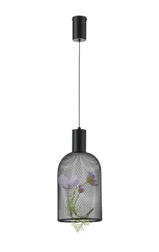 Светильник подвесной LED Ophelia V11874-PL Moderli чёрный на 1 лампу, основание чёрное в стиле современный арт-деко фото 2 Светильник подвесной LED Ophelia V11874-PL Moderli чёрный на 1 лампу, основание чёрное в стиле современный арт-деко фото 2