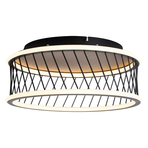Светильник потолочный LED Korg 4436-2C F-promo чёрный на 1 лампу, основание чёрное в стиле лофт 