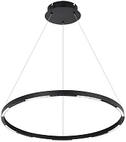 Светильник подвесной LED Noella APL.051.03.43 Aployt чёрный на 1 лампу, основание чёрное в стиле современный кольца