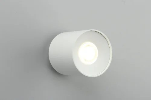 Светильник накладной LED Torino OML-100309-16 Omnilux белый 1 лампа, основание белое в стиле хай-тек круглый фото 2