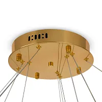 Потолочная чаша Tier FR5257A-L3G Freya на 1 , основание латунь в стиле современный 