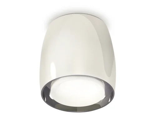 Светильник накладной Techno spot XS1143020 Ambrella light серебряный 1 лампа, основание серебряное в стиле современный хай-тек круглый