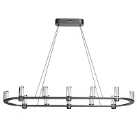 Светильник подвесной Defance 7143/65L Odeon Light прозрачный на 12 ламп, основание серое чёрное в стиле современный классический овал