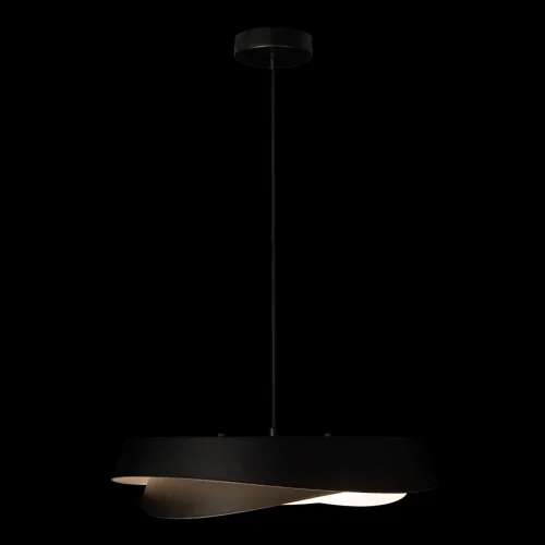 Светильник подвесной LED Petale 10256P Black LOFT IT чёрный на 1 лампу, основание чёрное в стиле современный фото 7