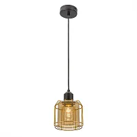 Светильник подвесной Таверна CL542212 Citilux бронзовый прозрачный янтарный 1 лампа, основание чёрное в стиле кантри 