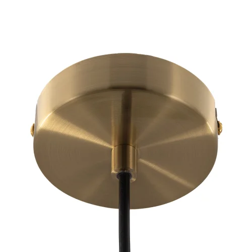 Светильник подвесной Tendy CL244021 Citilux прозрачный разноцветный на 1 лампу, основание латунь в стиле классический современный фото 3