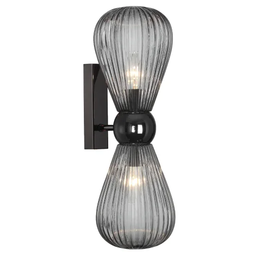 Бра Elica 5417/2W Odeon Light чёрный серый на 2 лампы, основание чёрное в стиле современный  фото 3