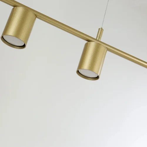 Светильник подвесной Frigus 4041-6P Favourite белый 2 лампы, основание золотое в стиле современный  фото 6