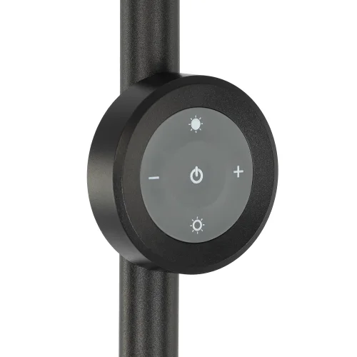 Торшер LED RGB с пультом Loong CL810031 Citilux с пультом чёрный белый на 1 лампу, основание чёрное в стиле современный хай-тек фото 6 Торшер LED RGB с пультом Loong CL810031 Citilux с пультом чёрный белый на 1 лампу, основание чёрное в стиле современный хай-тек фото 6