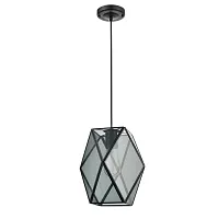 Светильник подвесной Bergamo VL5082P21 Vele Luce серый прозрачный на 1 лампу, основание чёрное в стиле современный 