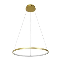 Светильник подвесной LED Giro 2937-6P Favourite золотой 1 лампа, основание золотое в стиле современный кольца