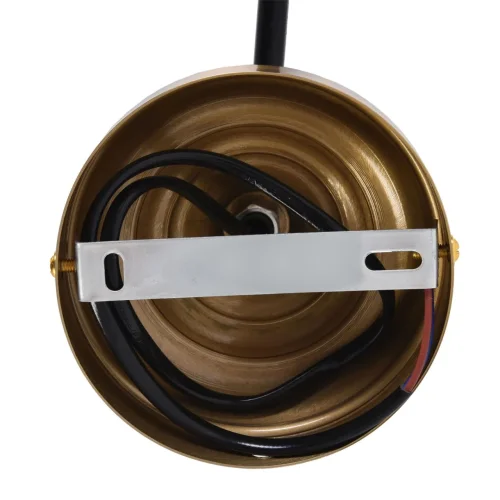 Бра Lilo 8361/1W Lumion чёрный на 1 лампу, основание бронзовое в стиле современный фото 5 Бра Lilo 8361/1W Lumion чёрный на 1 лампу, основание бронзовое в стиле современный фото 5