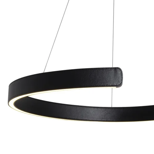 Светильник подвесной LED Ring 10025/600 Black LOFT IT чёрный 1 лампа, основание золотое в стиле современный хай-тек кольца фото 4