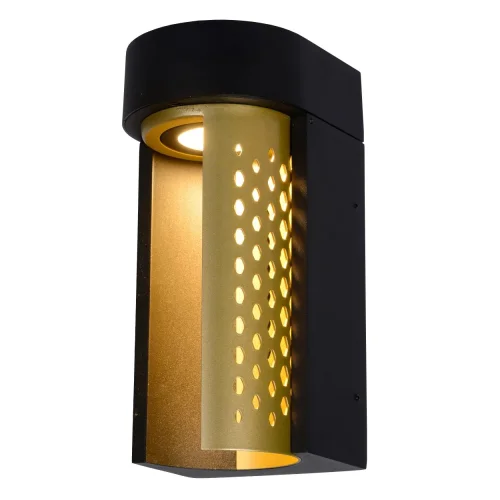 Настенный светильник LED Kiran 45800/10/02 Lucide уличный IP65 чёрный 1 лампа, плафон матовый золото латунь в стиле современный LED фото 3
