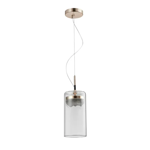Светильник подвесной LED Idillio A2306SP-6GO Arte Lamp прозрачный 1 лампа, основание золотое в стиле современный 