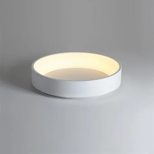 Светильник потолочный LED TRAY D60 White 181884-26 ImperiumLoft белый 1 лампа, основание белое в стиле скандинавский современный  фото 2