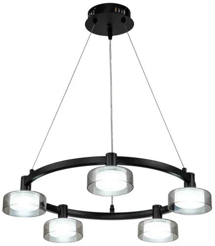 Светильник подвесной LED с пультом Gloze 4009/02/05P Stilfort серый чёрный 5 ламп, основание чёрное в стиле современный хай-тек с пультом фото 4