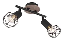 Спот с 2 лампами Xara I 54802S-2H Globo чёрный E14 в стиле лофт модерн 