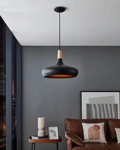 Светильник подвесной Sabinar 900163 Eglo чёрный 1 лампа, основание чёрное в стиле современный  фото 6
