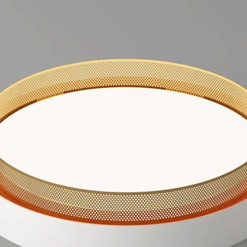 Светильник потолочный MALIA D55 Black Brass 4000К 223855-23 ImperiumLoft белый на 1 лампу, основание латунь в стиле современный минимализм фото 4 Светильник потолочный MALIA D55 Black Brass 4000К 223855-23 ImperiumLoft белый на 1 лампу, основание латунь в стиле современный минимализм фото 4