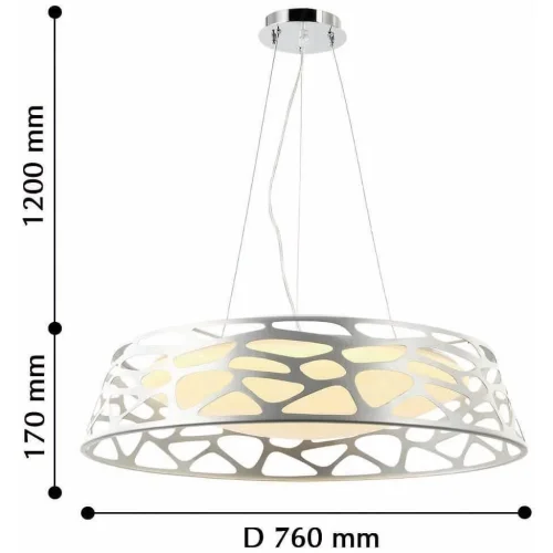 Светильник подвесной LED Arcanum 2535-5PC Favourite белый на 1 лампу, основание серебряное в стиле современный фото 2