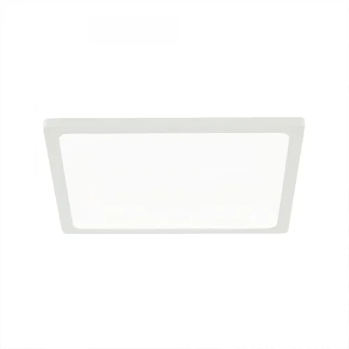Светильник точечный LED Омега CLD50K150 Citilux белый 1 лампа, основание белое в стиле современный 