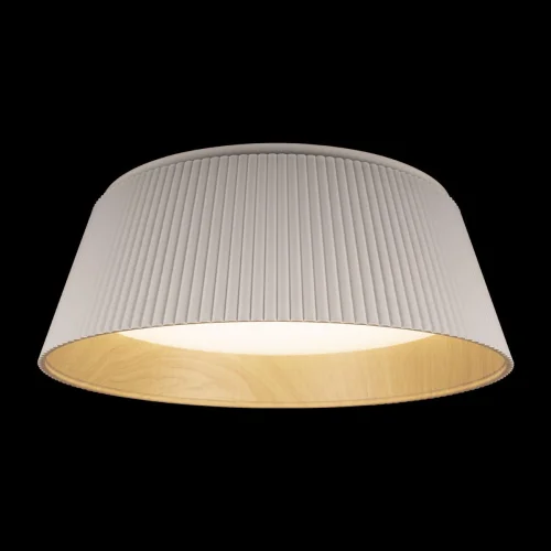 Светильник потолочный LED Evans 10224 White LOFT IT белый 1 лампа, основание коричневое белое в стиле современный  фото 2