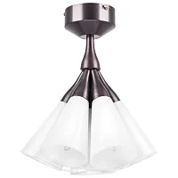 Светильник потолочный Cone 757070 Lightstar белый 7 ламп, основание коричневое бордовое в стиле современный 
