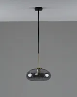 Светильник подвесной Laura V11530-1P Moderli чёрный дымчатый на 1 лампу, основание чёрное в стиле современный лофт 