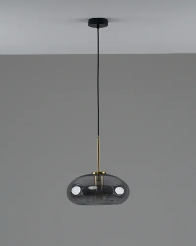Светильник подвесной Laura V11530-1P Moderli чёрный дымчатый на 1 лампу, основание чёрное в стиле современный лофт 