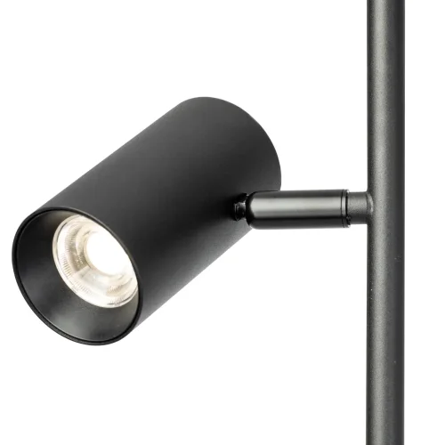 Торшер LED Twin CL809011N Citilux для чтения чёрный на 2 лампы, основание чёрное в стиле современный минимализм фото 5