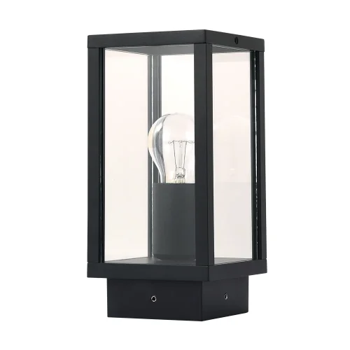 Парковый светильник Pot A1631FN-1BK Arte Lamp уличный IP54 чёрный на 1 лампу, плафон прозрачный в стиле современный E27
