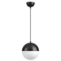 Светильник подвесной Pinga 4958/1A Odeon Light белый 1 лампа, основание чёрное в стиле современный шар