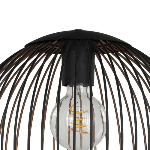 Светильник подвесной Almanzora 901868 Eglo чёрный на 1 лампу, основание чёрное в стиле лофт современный фото 2