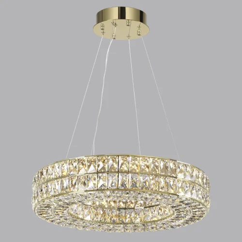 Люстра подвесная LED Panta 4926/52L Odeon Light прозрачная на 1 лампа, основание золотое в стиле современный кольца фото 6