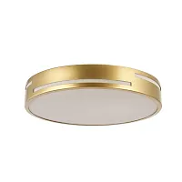 Светильник потолочный LED Pall 2745-1C F-promo белый 1 лампа, основание золотое в стиле современный 