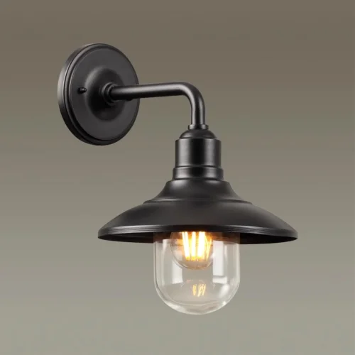 Настенный светильник уличный Campa 4965/1W Odeon Light уличный IP44 чёрный на 1 лампу, плафон прозрачный в стиле классический E27 фото 4