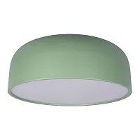 Светильник потолочный LED Axel 10201/480 Green LOFT IT белый зелёный 1 лампа, основание зелёное в стиле современный 