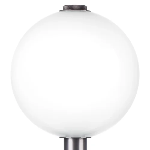 Настольная лампа LED Colore 805916 Lightstar белая 2 лампы, основание коричневое металл в стиле американский  фото 6