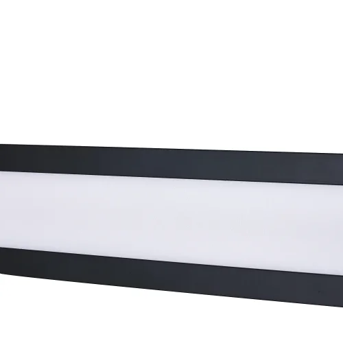 Светильник потолочный LED Meridiem 4004-1W Favourite белый 2 лампы, основание чёрное в стиле современный  фото 5
