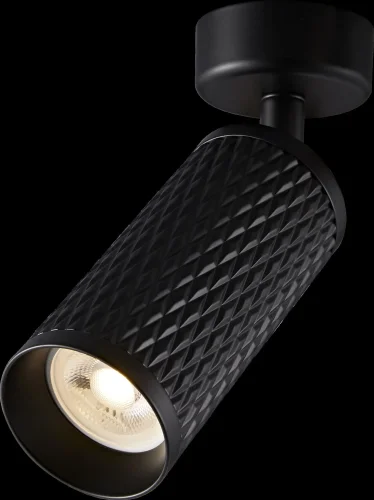 Светильник накладной Alfa C034CL-01B Maytoni чёрный 1 лампа, основание чёрное в стиле современный круглый фото 8