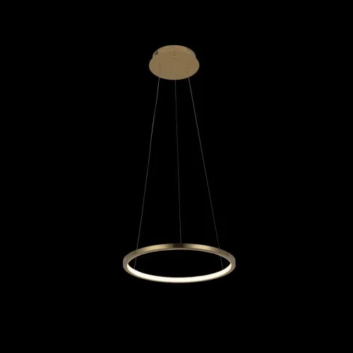 Светильник подвесной LED Ring 10014S LOFT IT золотой 1 лампа, основание золотое в стиле хай-тек кольца фото 2