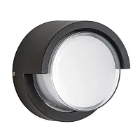 Настенный светильник LED Paletto cyl 382174 Lightstar уличный IP54 чёрный 1 лампа, плафон белый в стиле современный LED