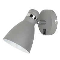 Бра с выключателем лофт Mercoled A5049AP-1GY Arte Lamp серый 1 лампа, основание серое в стиле лофт 