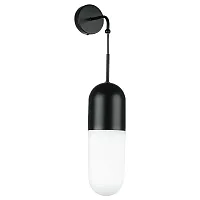 Бра Ramo 690617 Lightstar белый 1 лампа, основание чёрное в стиле современный 
