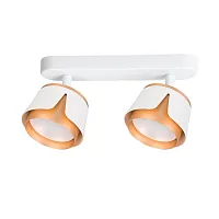 Спот с 2 лампами Amaks A8028PL-2WH Arte Lamp белый GX53 в стиле современный 