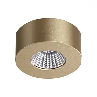 Светильник накладной LED Bene 4284/7CL Odeon Light золотой 1 лампа, основание золотое в стиле современный хай-тек круглый