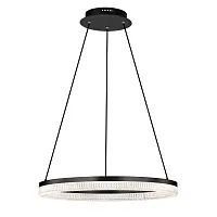 Светильник подвесной LED Rotonda 736187 Lightstar прозрачный 1 лампа, основание чёрное в стиле модерн кольца